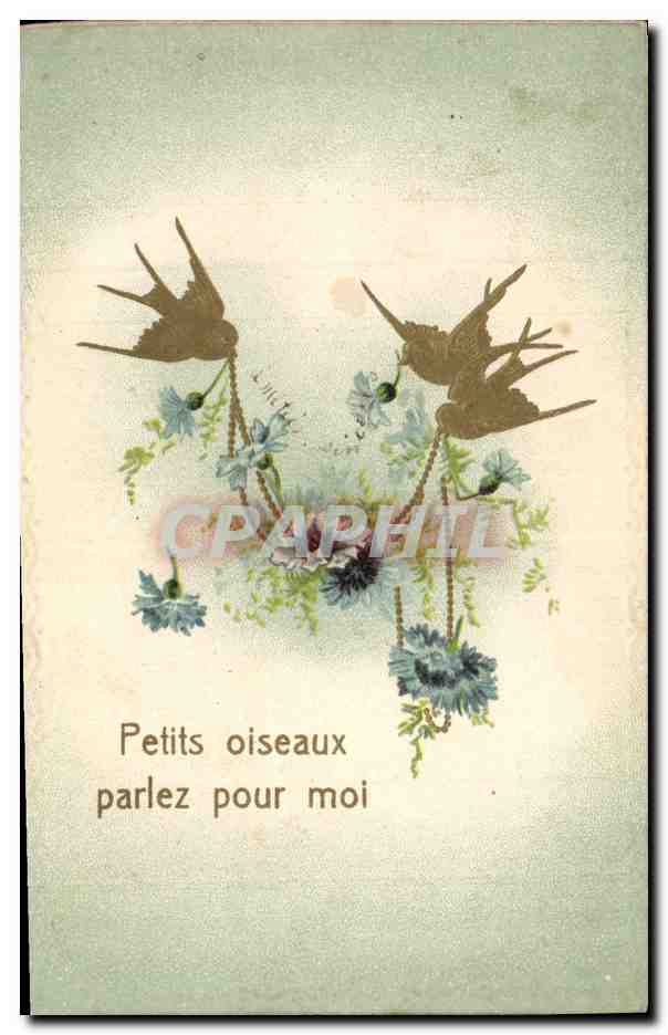 CPA Fantaisie Fleurs Oiseaux 