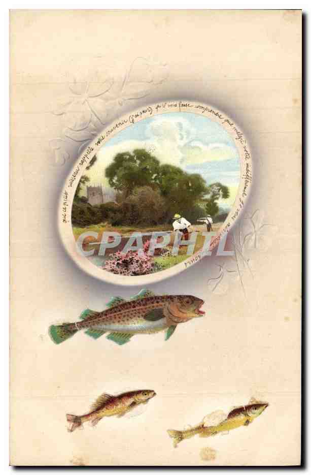Pêche à la truite — illustration avec paysage et poissons — éditeur M&B
