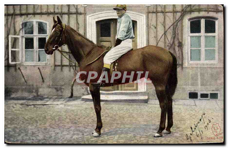 Jockey à cheval — Éditeur 'Levelezö-Lap', série 509 — datée 1908
