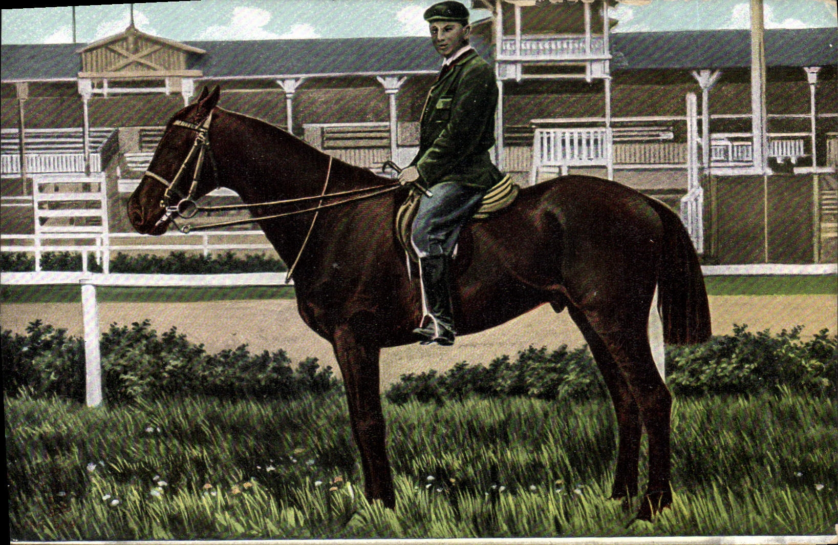 CPA Cheval Equitation Hippisme 