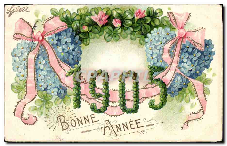CPA Fantaisie Fleurs Annee 1905