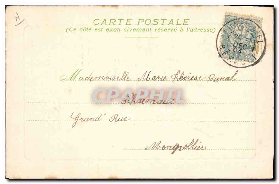 CPA Fantaisie Fleurs Annee 1905 — Verso