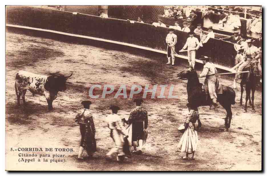 CPA Corrida Course de taureaux Citando para picar Appel a la pique