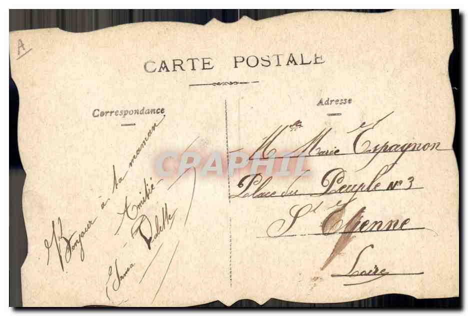 Dove sur main — carte postale décorative — éditeur non visible — Verso