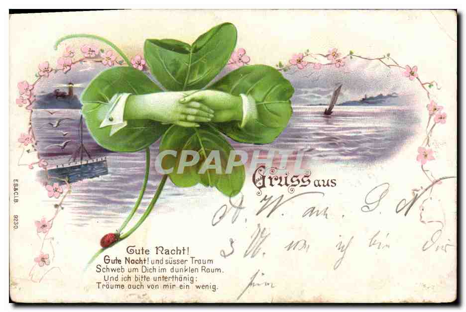 Maine — Gruss aus — éditeur E.B.R.C.L.B. n° 8230