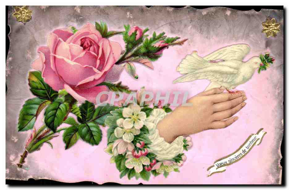Pigeon blanc et rose — Vœux sincères de bonheur — éditeur non visible