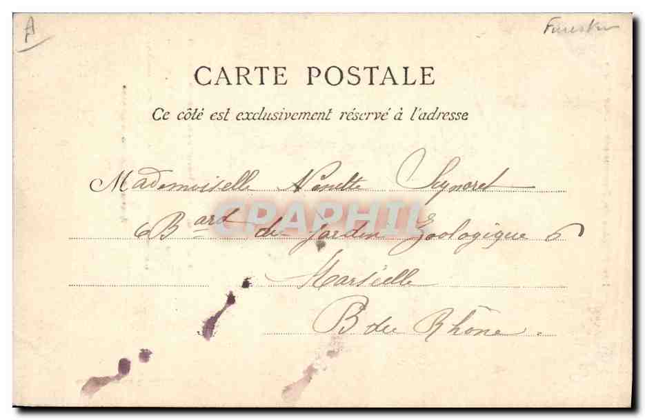 CPA Folklore Les fillettes de Douarnenez — Verso