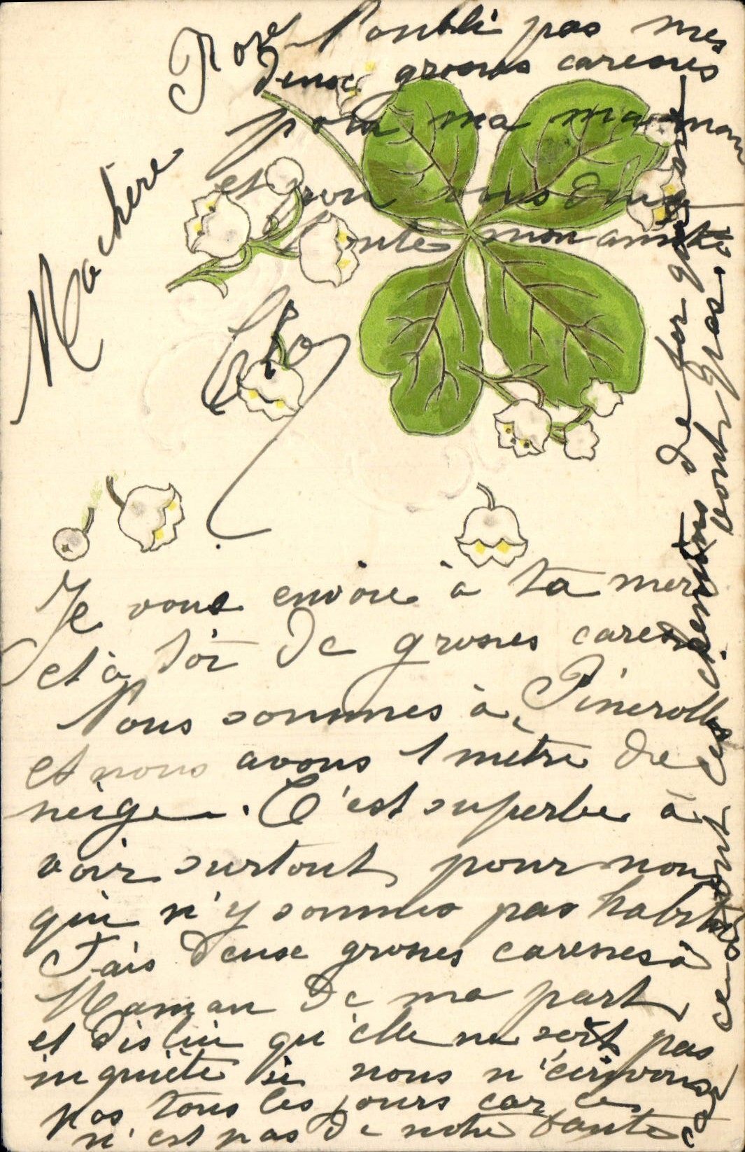 CPA Fantaisie Fleurs Trefle