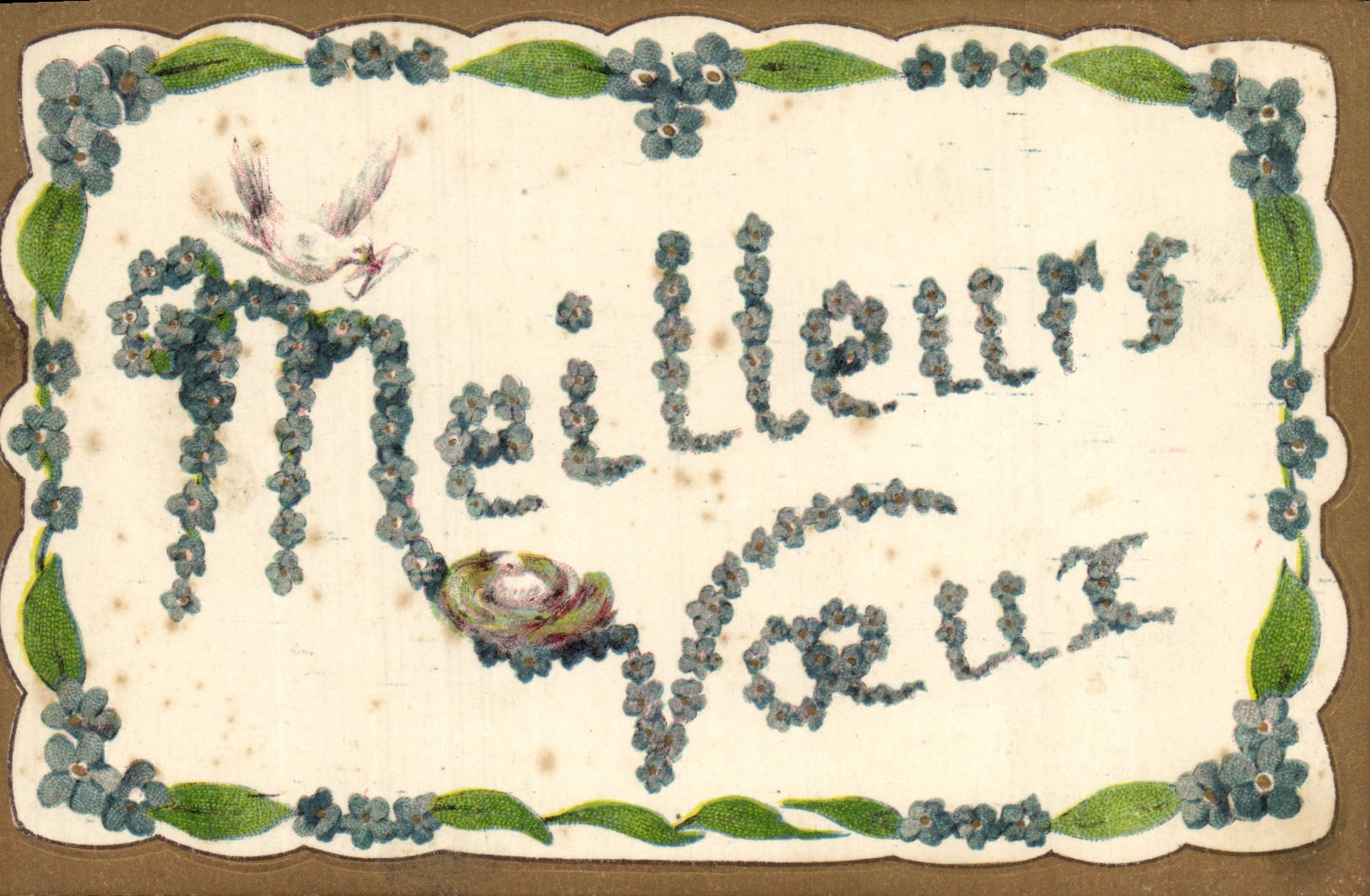 CPA Fantaisie Fleurs Colombe