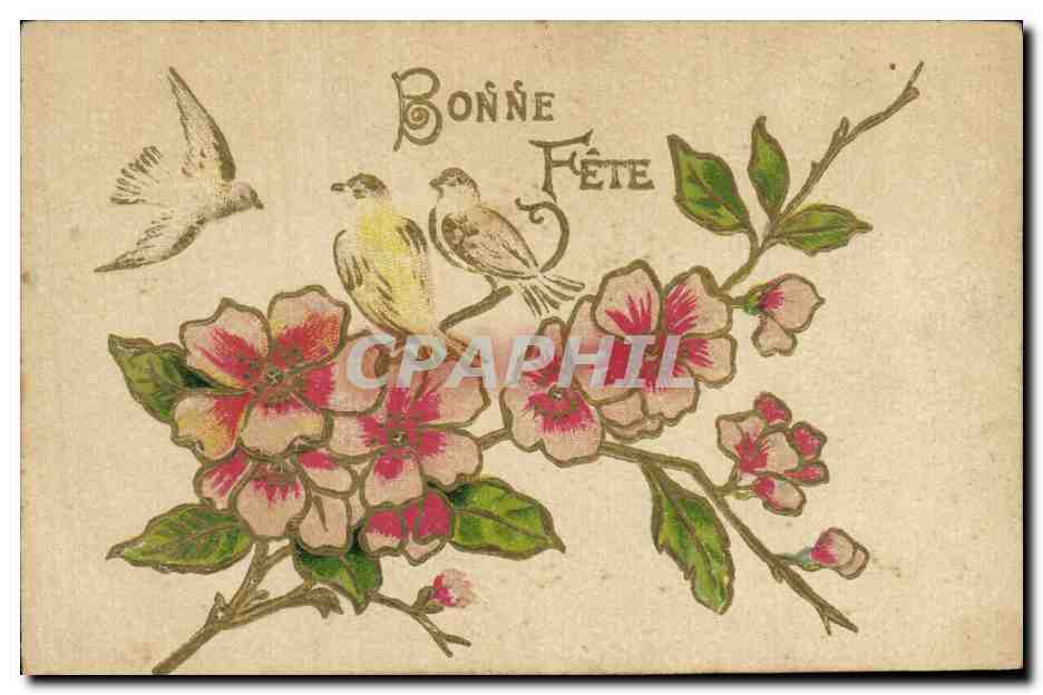 CPA Fantaisie Fleurs Oiseaux