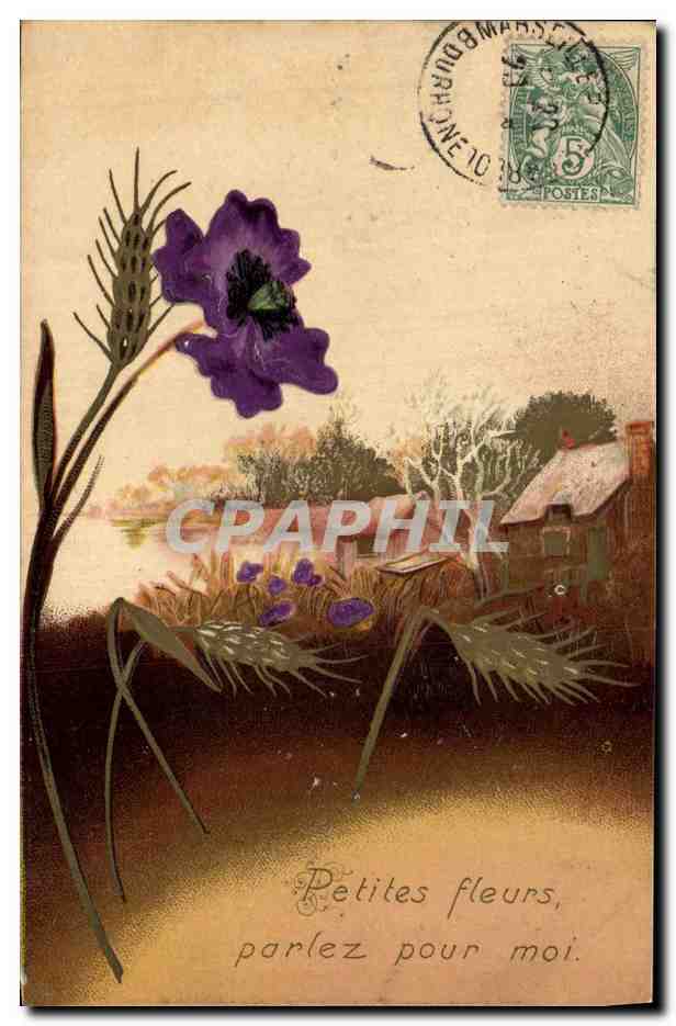 CPA Fantaisie Fleurs 