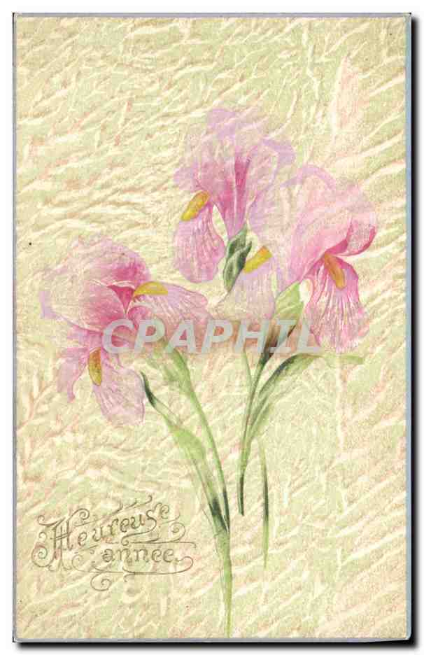 CPA Fantaisie Fleurs 