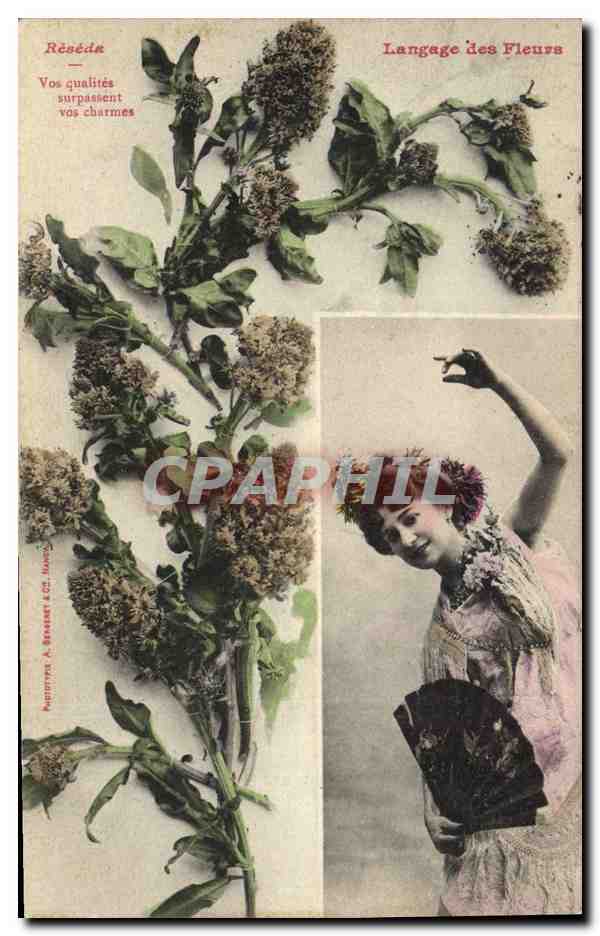 Réséda — Vos qualités surpassent vos charmes — Langage des Fleurs — Éditeur A. Besset, Marseille