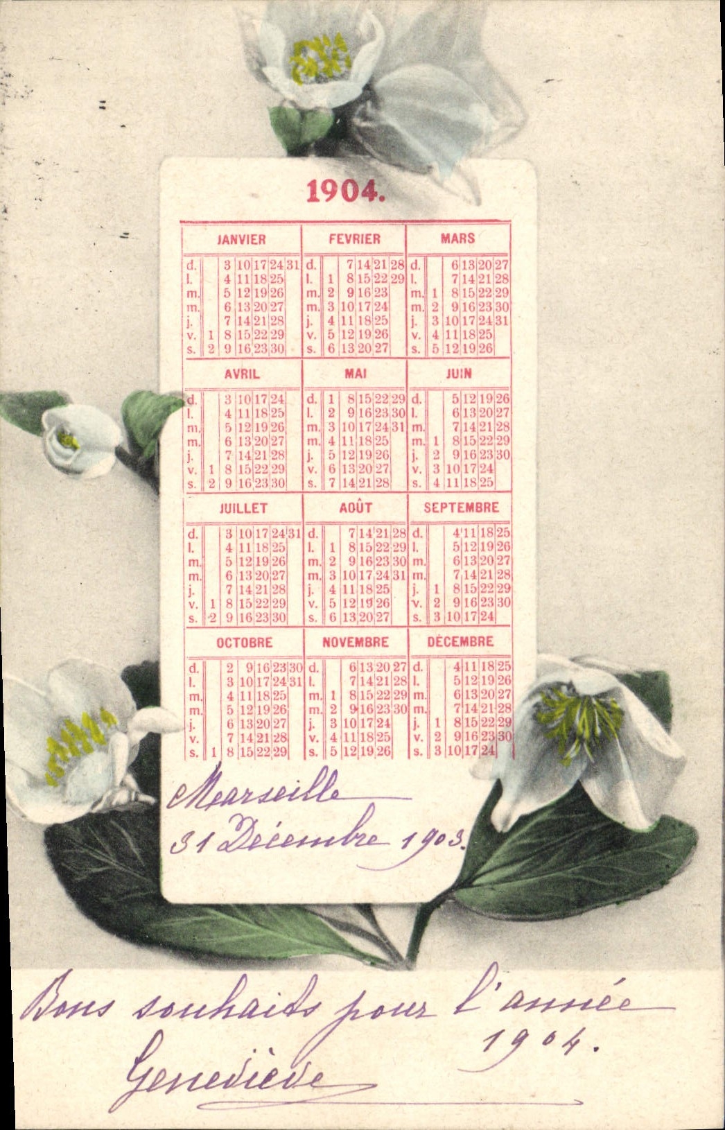 Calendrier 1904 — fleurs de jasmin — éditeur non visible