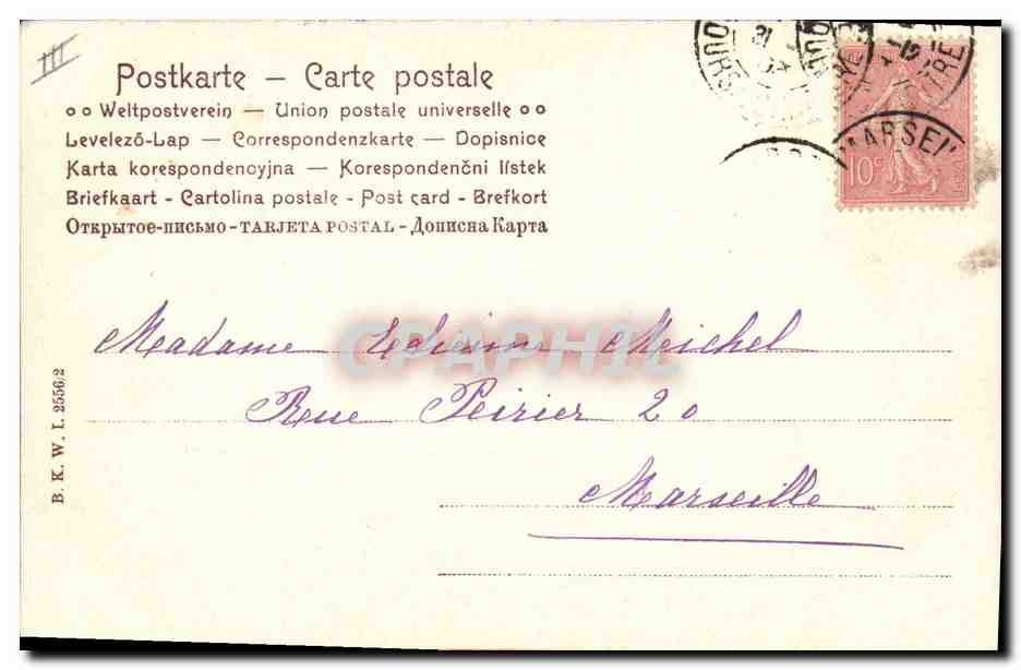 Calendrier 1904 — fleurs de jasmin — éditeur non visible — Verso
