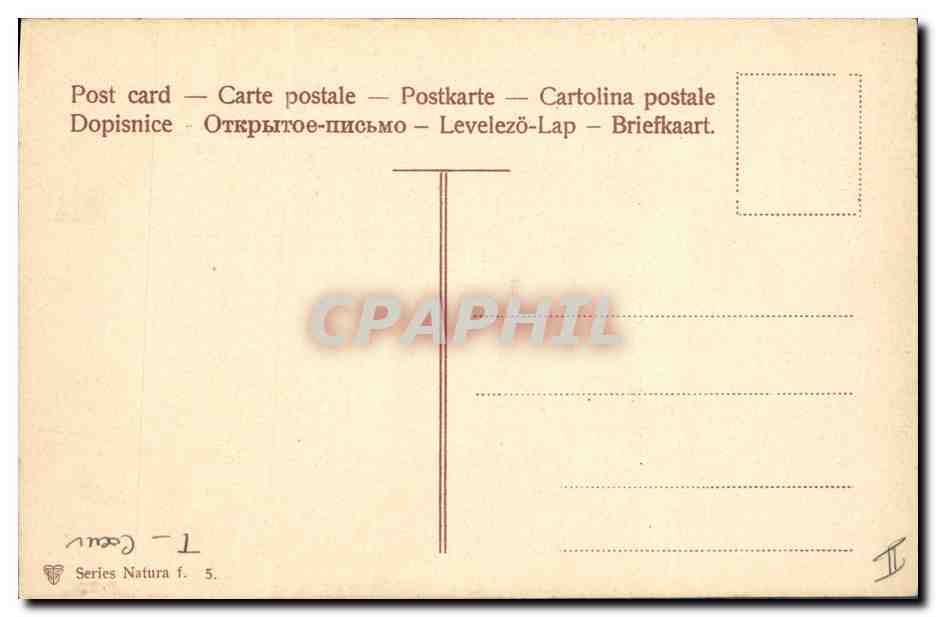 CPA Fantaisie Fleurs Coeur  — Rückseite