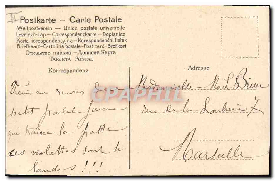 CPA Fantaisie Fleurs Poussins  — Verso