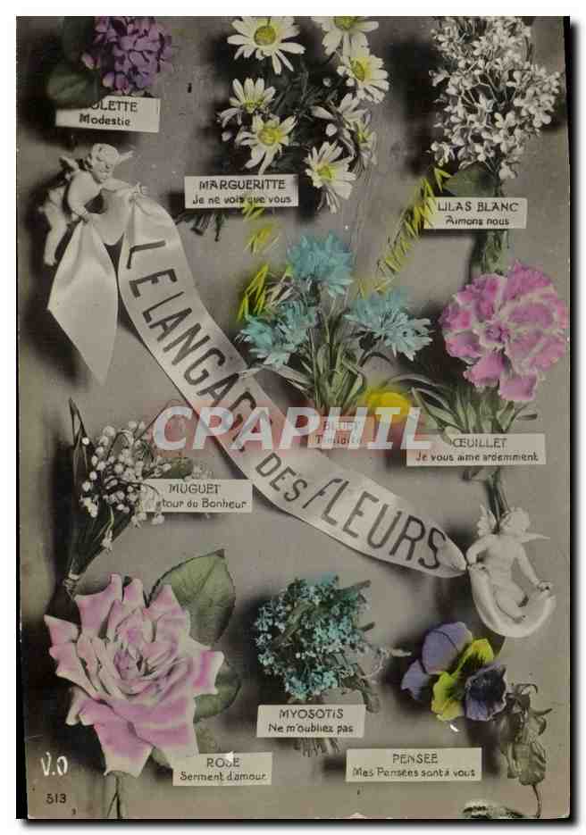 CPA Fantaisie Langage des Fleurs 