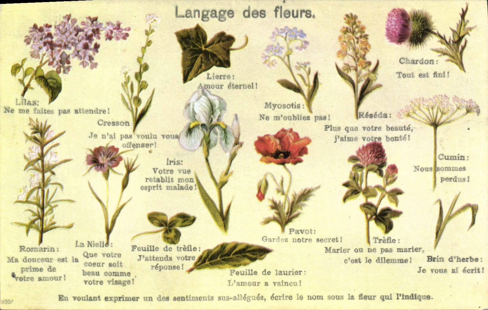 CPA Fantaisie Langage des Fleurs 