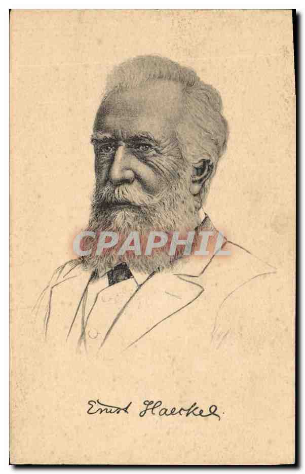 Ernst Haeckel — Portrait gravé — Stöngel & Co., Dresden 19106