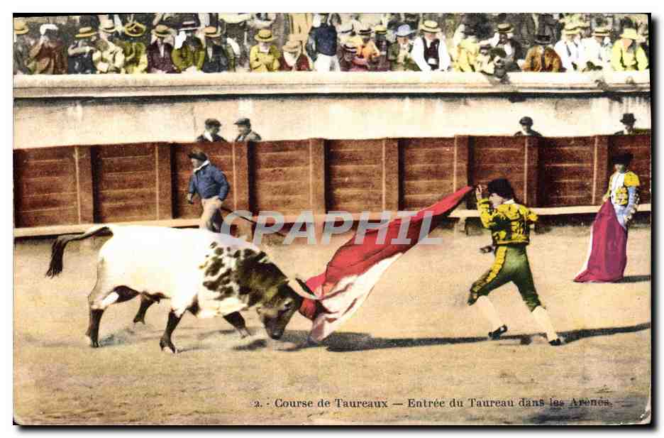 CPA Corrida Course de taureaux Entree du taureau dans les arenes