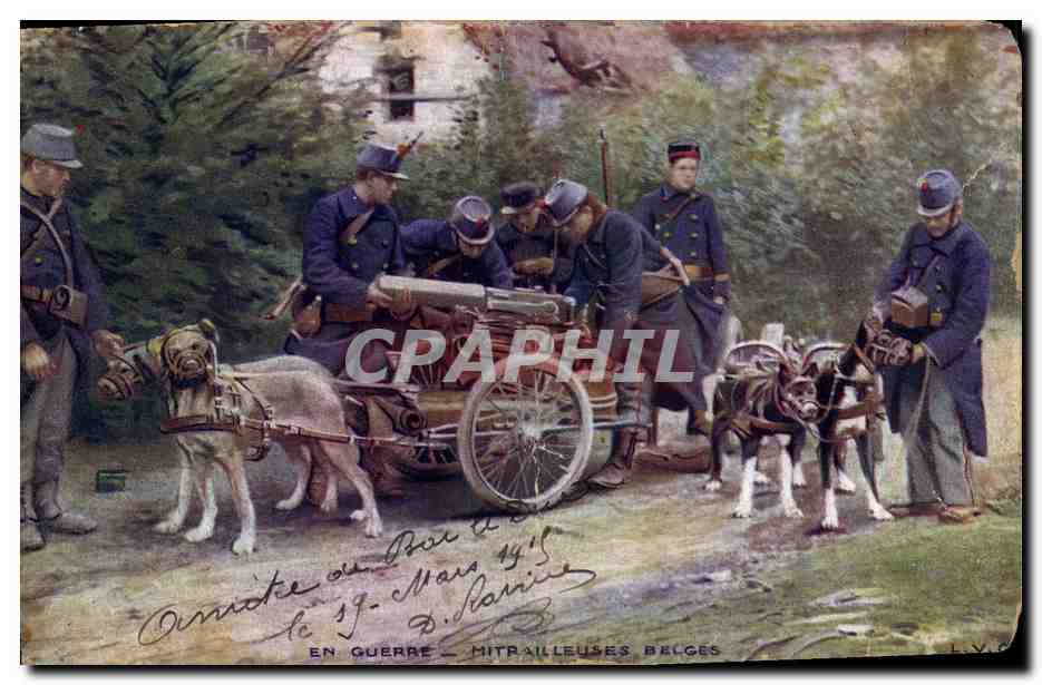 CPA Militaria LVC Mitrailleuses Belges Voiture a Chiens Chien