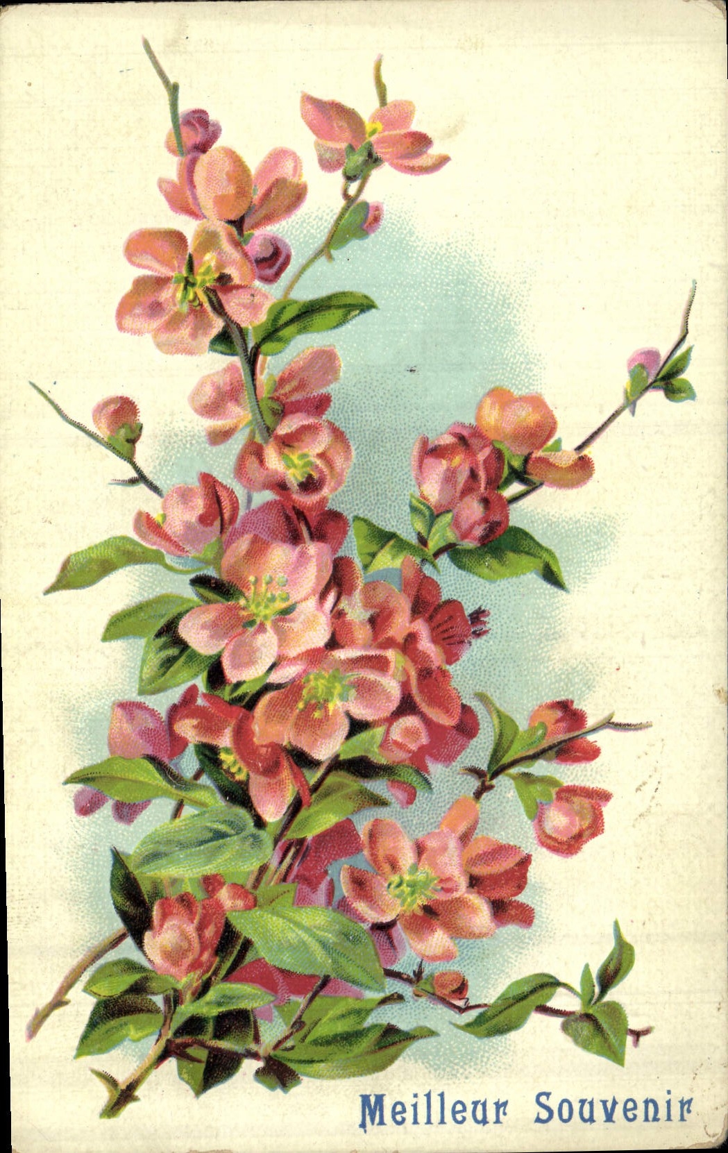 CPA Fantaisie Fleurs 