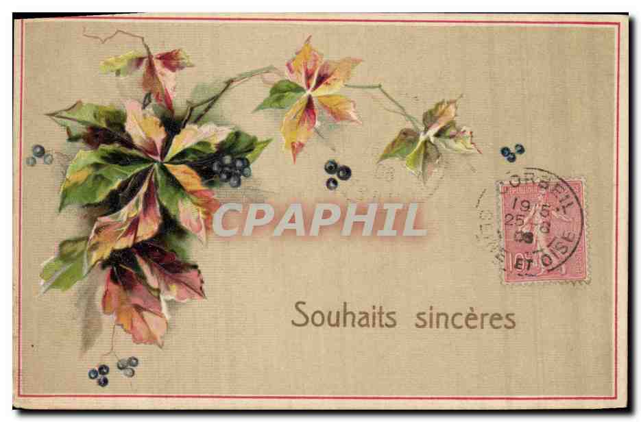 CPA Fantaisie Fleurs 