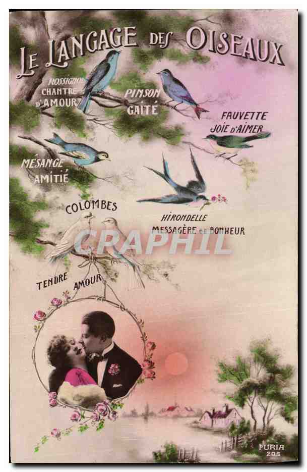 Le Langage des Oiseaux — FURIA 205