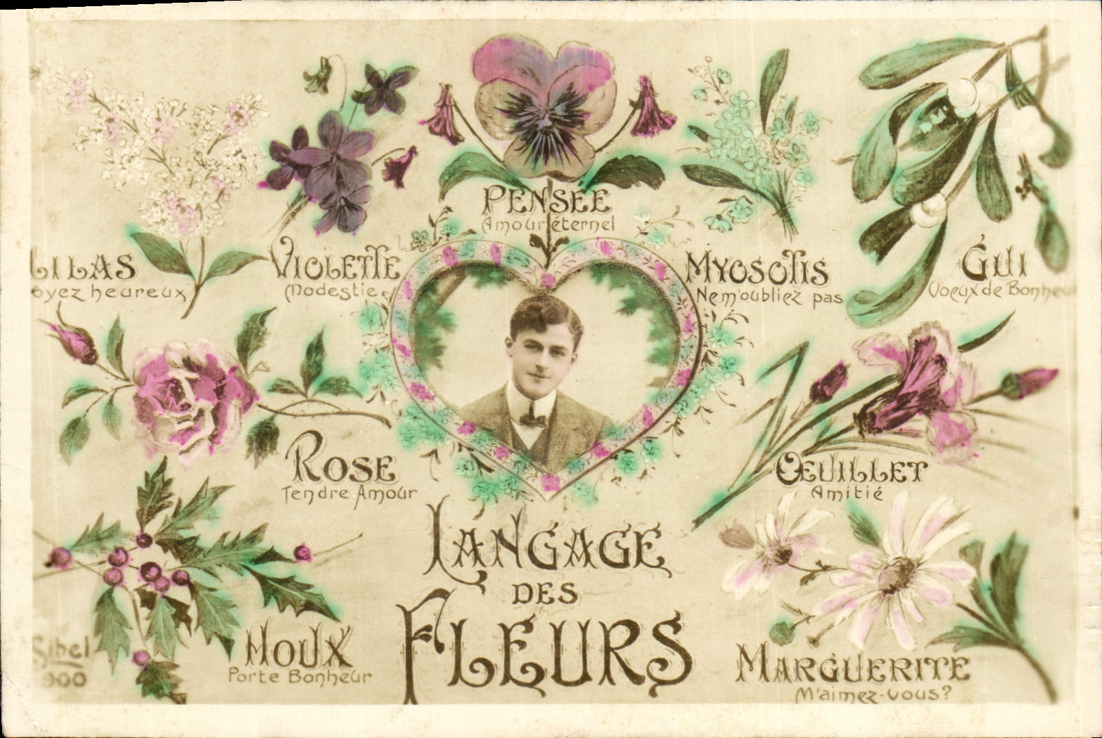 Langage des Fleurs — Sibel 300