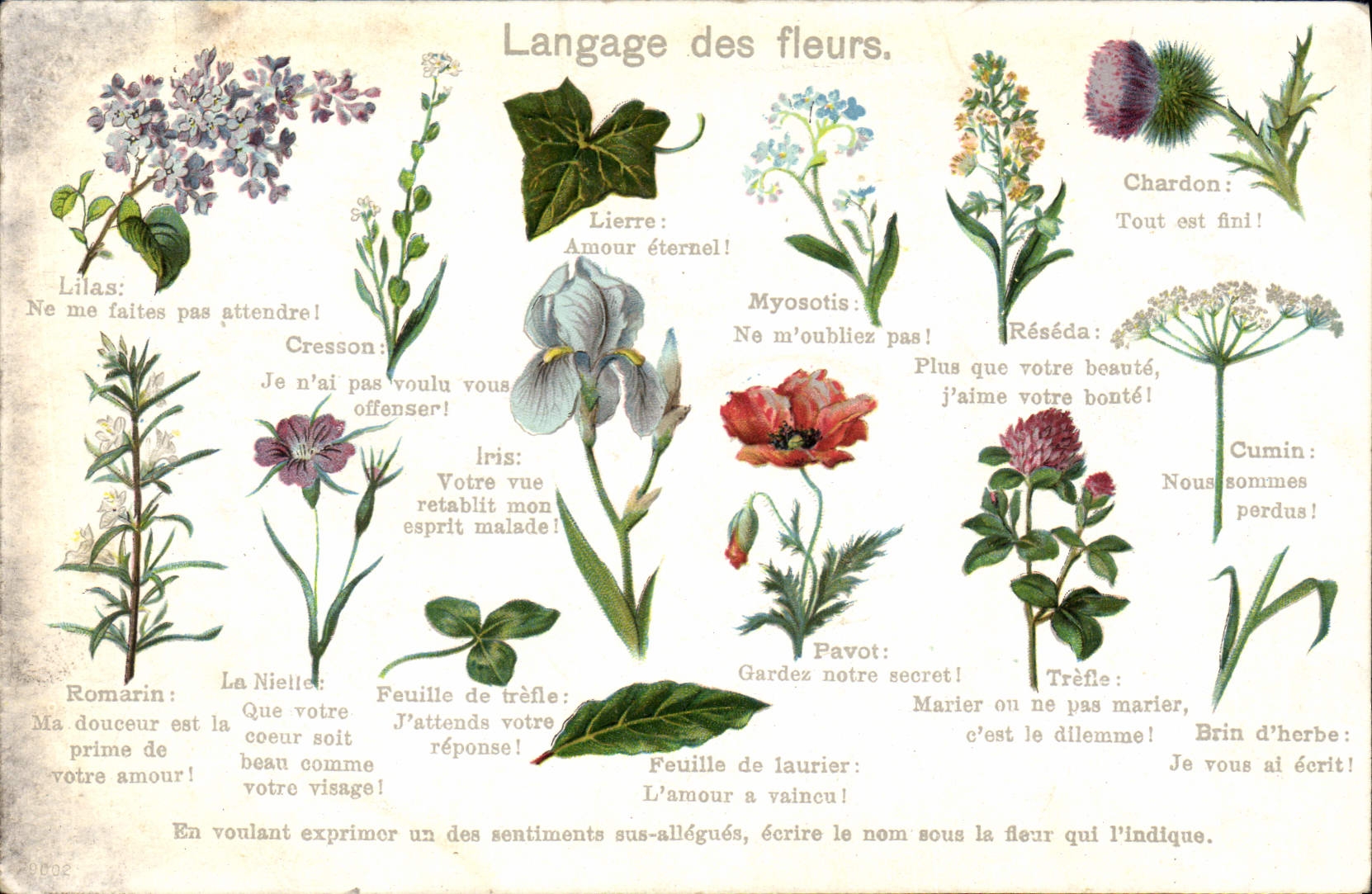 CPA Fantaisie Le langage des fleurs