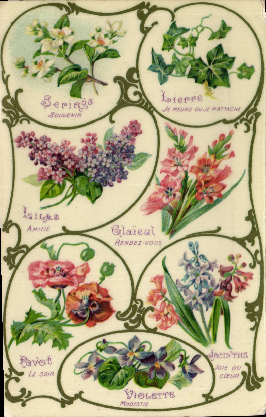 CPA Fantaisie Le langage des fleurs