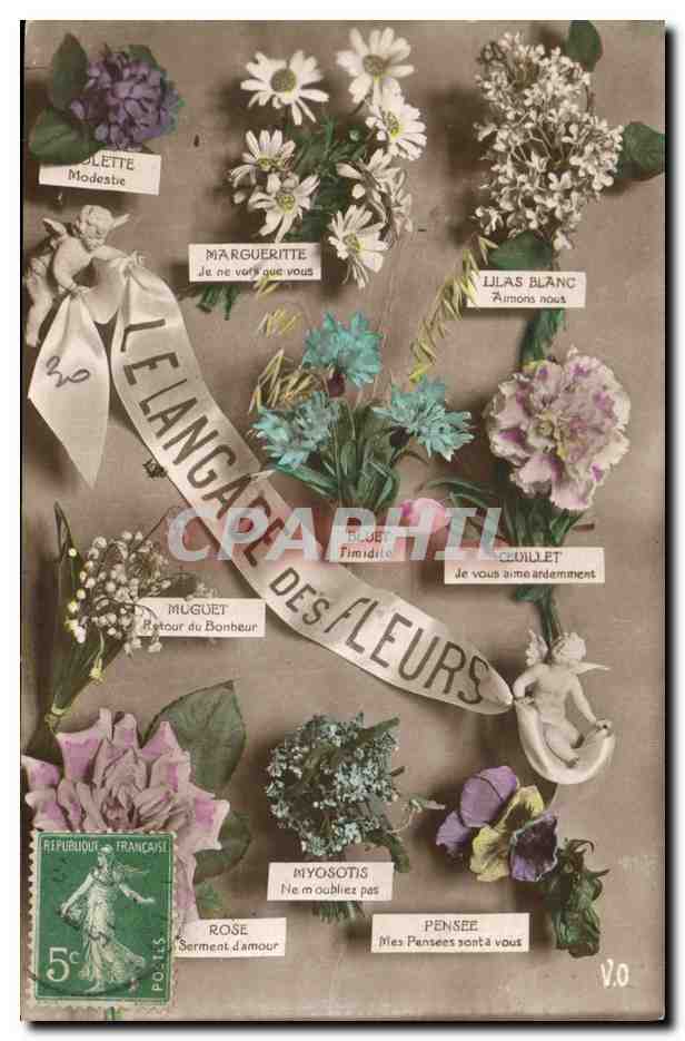 CPA Fantaisie Le langage des Fleurs