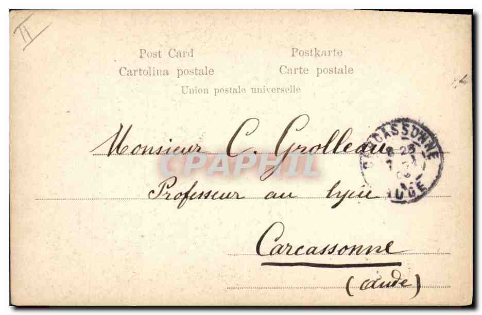 Femme dans un grand tronc d'arbre — éditeur Terrocca, n° 4902 — Verso