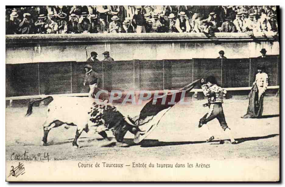 CPA Corrida Course de Taureaux Entree du taureau dans les arenes