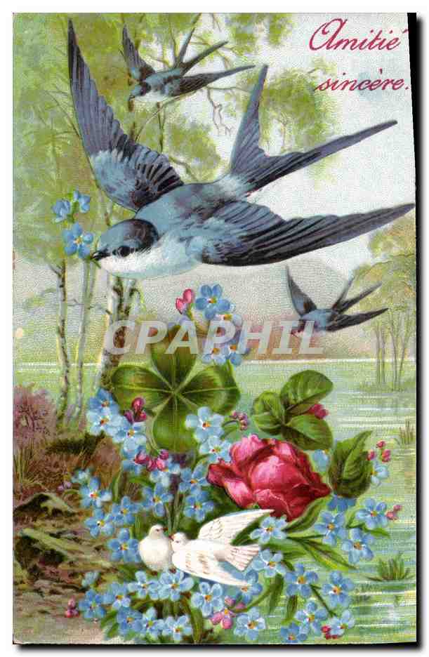CPA Fantaisie Fleurs Hirondelle Colombes 