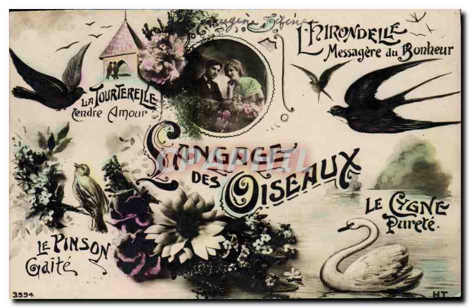 Chanson des Oiseaux — Goujigne Béfines — n°3594