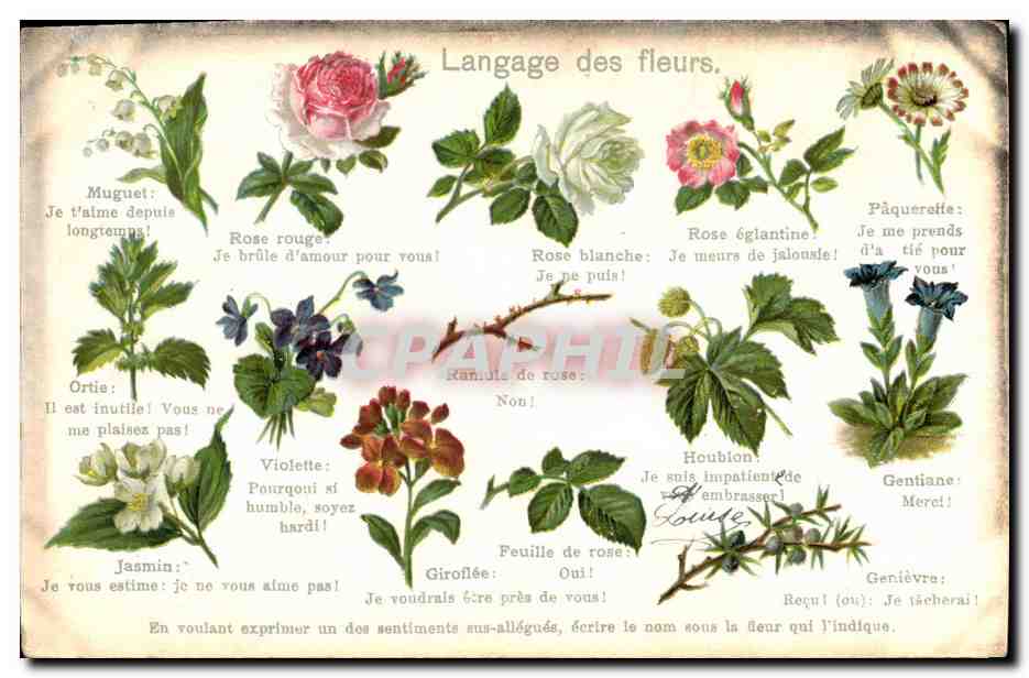 CPA Fantaisie Le langage des fleurs