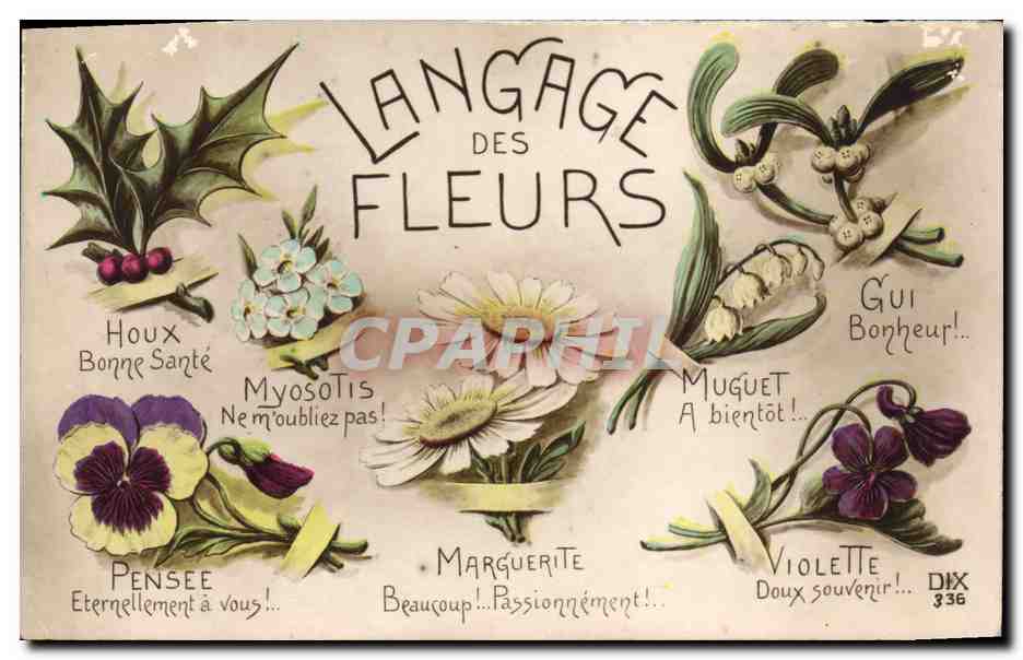 CPA Fantaisie Le langage des Fleurs