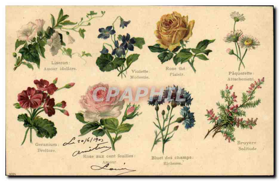 CPA Fantaisie Le langage des Fleurs