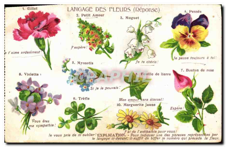 Langage des fleurs (Réponse) — éditeur Levelez-Lap, n° de série non visible