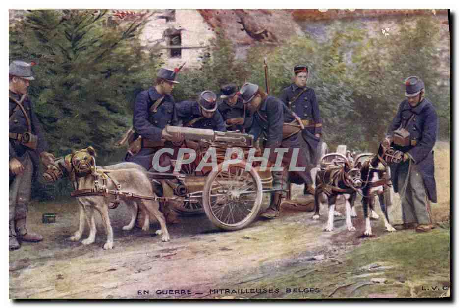CPA Militaria Mitrailleuses belges Chien Chiens 