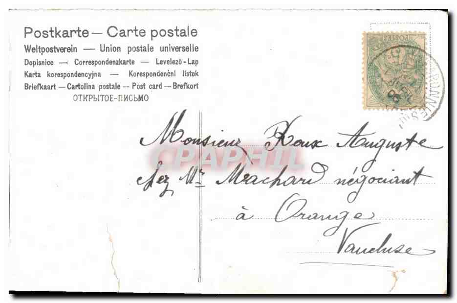 Bouquet de primevères — détails floraux et ruban — éditeur inconnu, série 921926 — Rückseite