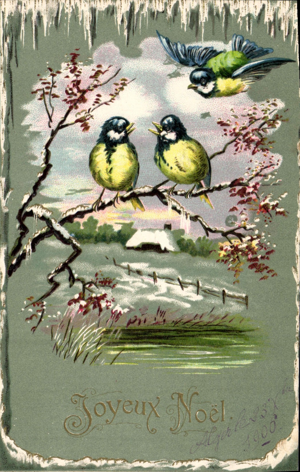 Oiseaux sur branche enneigée — Joyeux Noël 1900 — Albert B. 337, série 1900