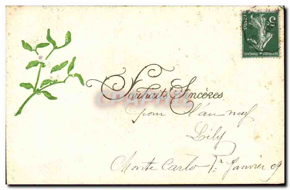 CPA Fantaisie Fleurs 