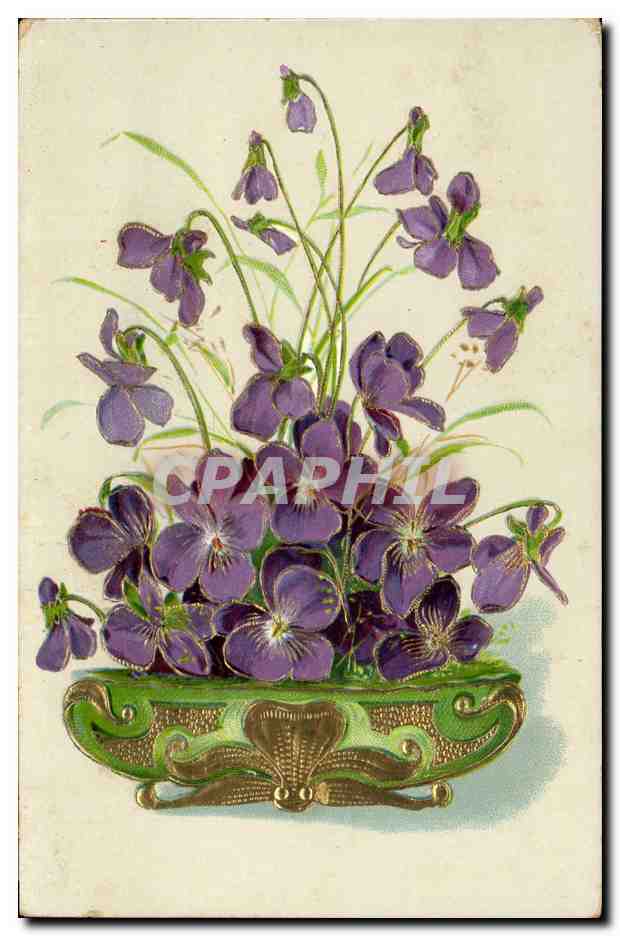 Violes dans un vase — illustration — éditeur inconnu