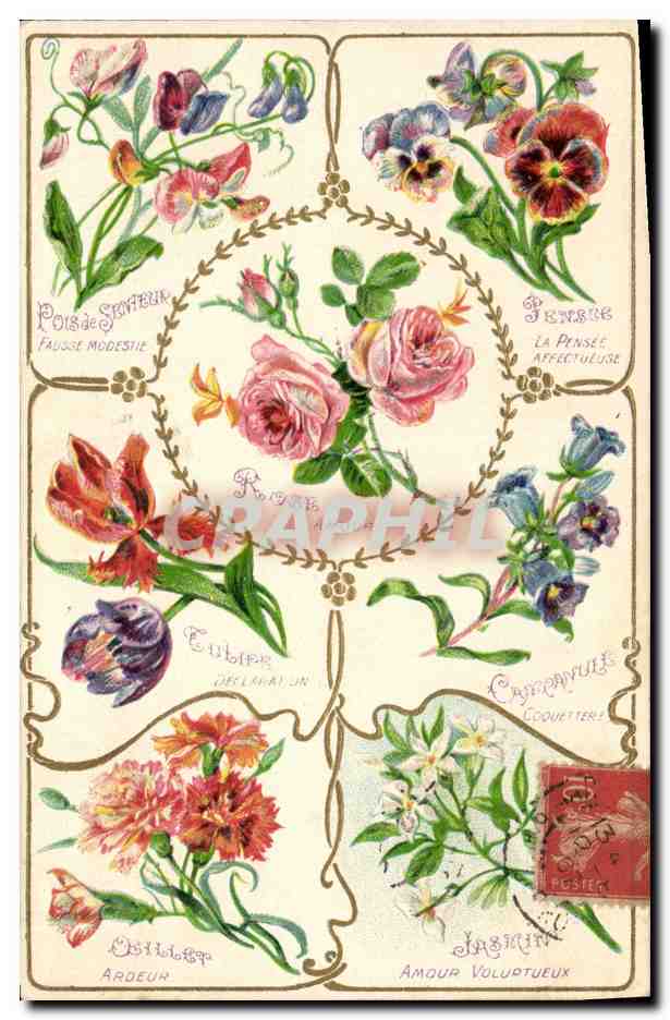 CPA Fantaisie Langage des Fleurs 