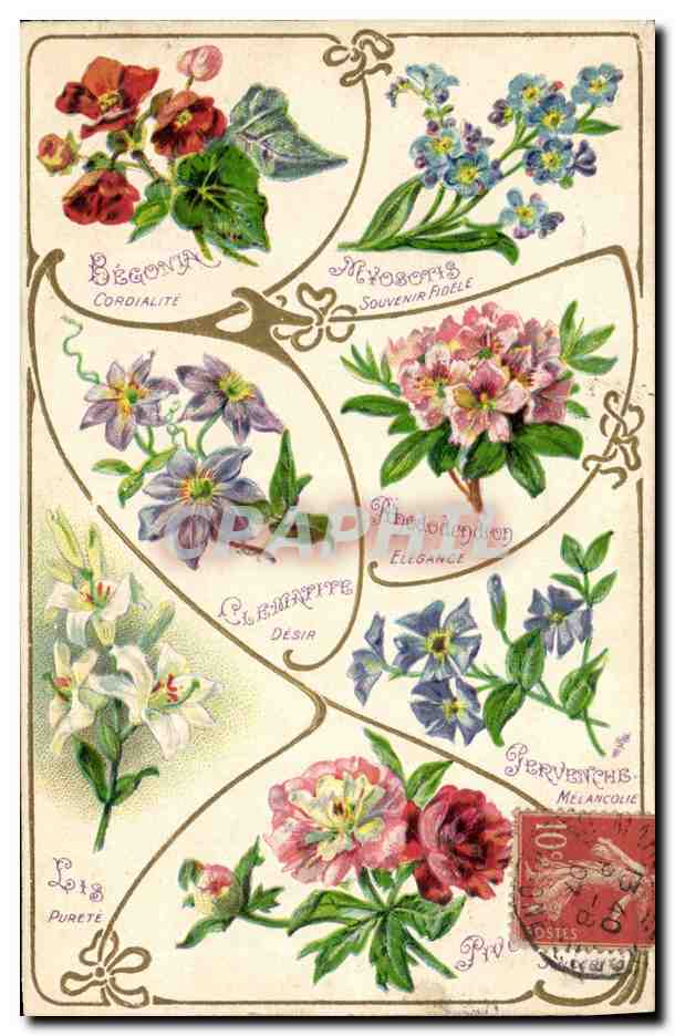 CPA Fantaisie Langage des Fleurs 