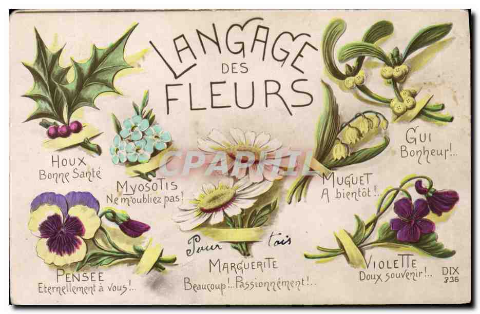 CPA Fantaisie Langage des Fleurs 