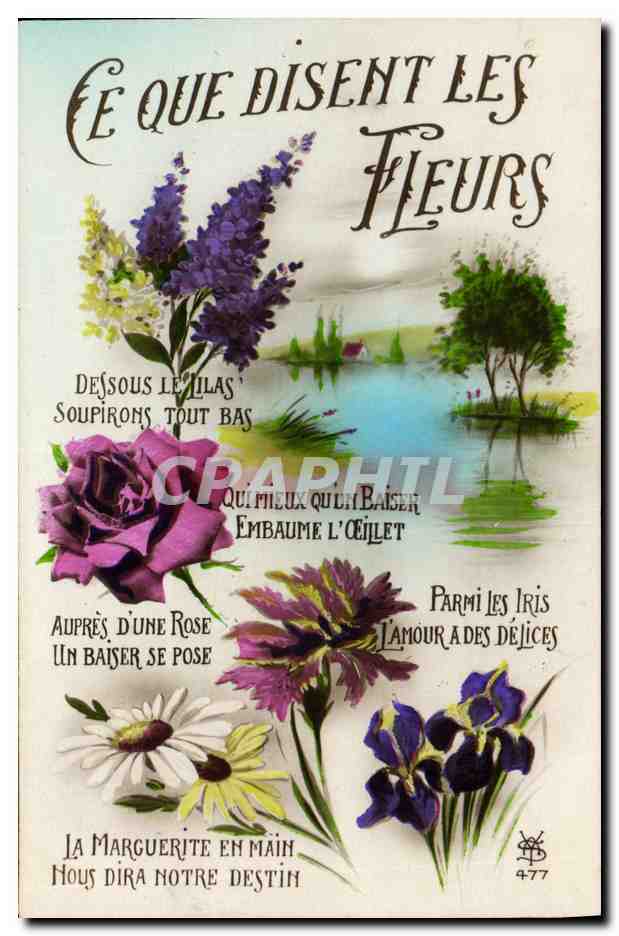 CPA Fantaisie Ce que disent les Fleurs 